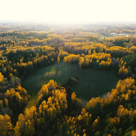 Tamarack Meadows Neighborhood In Fall Colors