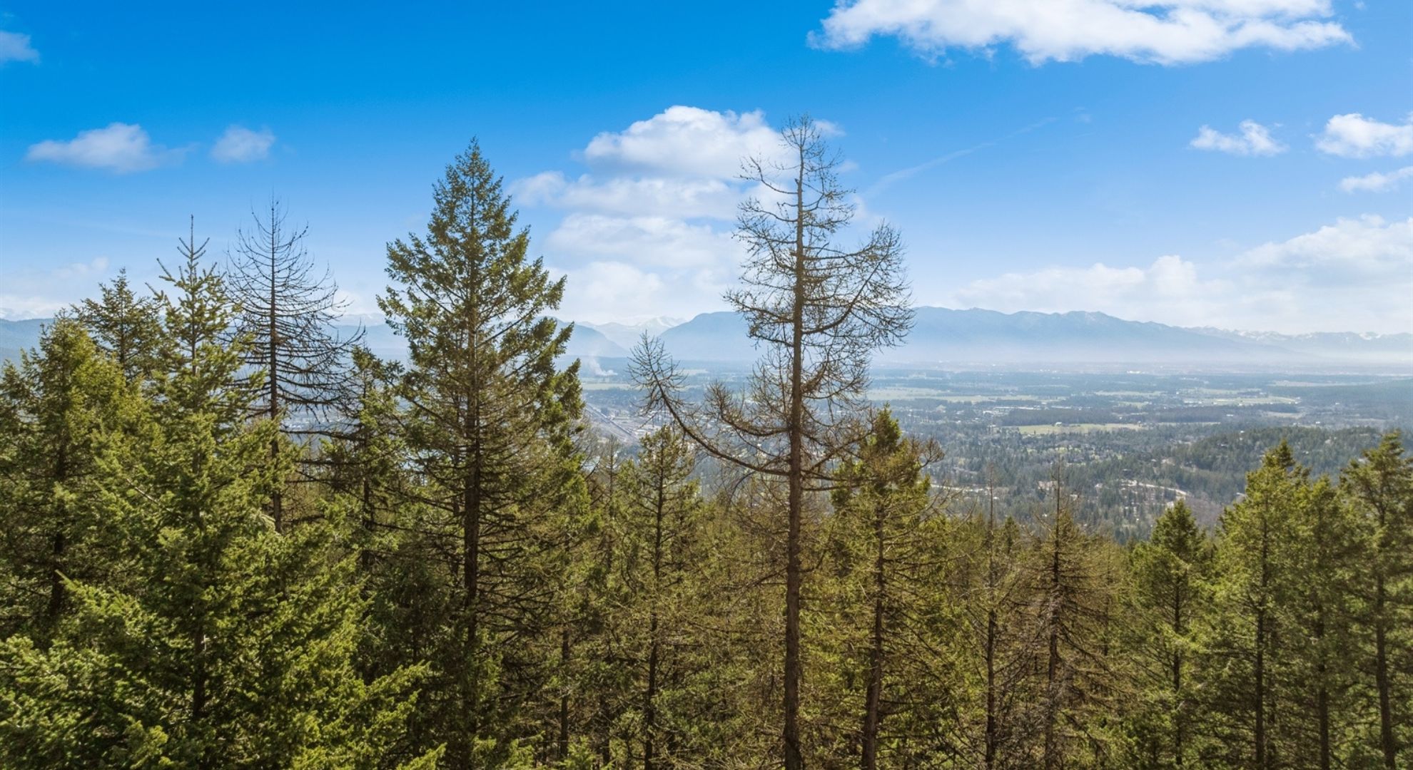 Untitled design - 2025-11-24T150718.908