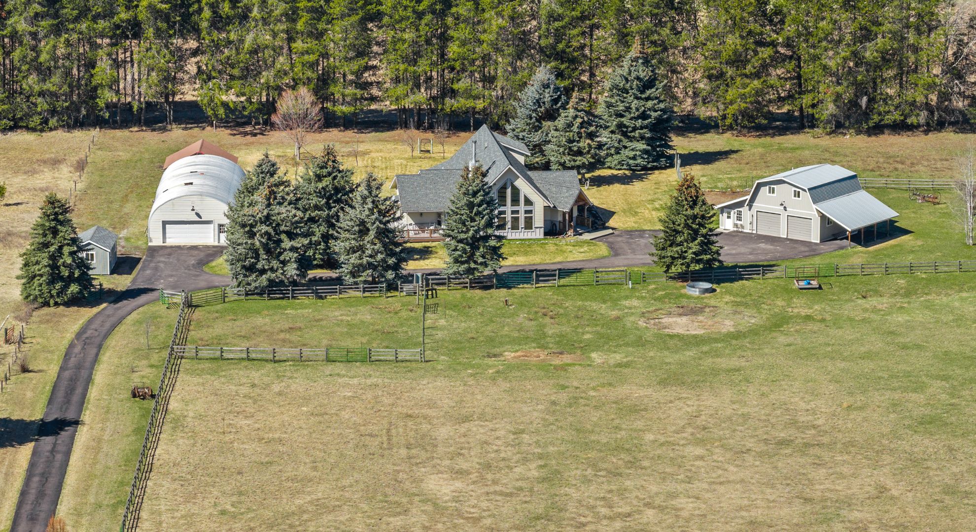 Untitled design - 2026-04-17T153952.975